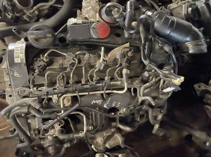 Audi CEG-CAG TDIEngine-Qureshi Auto South Afriqa